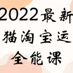 电商大参老梁新课，2022最新天猫淘宝运营全能课，助力店铺营销