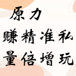 原力系列：网赚精准私域月入60000+,流量倍增独家玩法 更新原力博客《公众号被动爆粉》