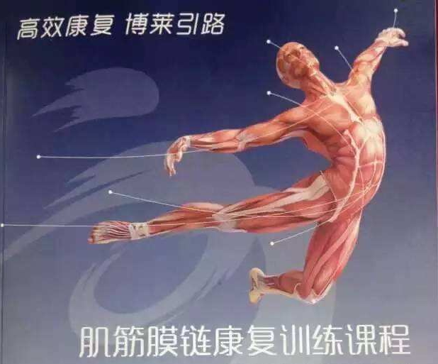 肌筋膜链康复技术大汇总（康复师必备掌握）