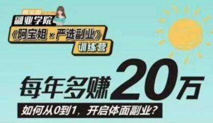 阿宝姐严选副业PLUS版，从0到1开启高薪体面副业