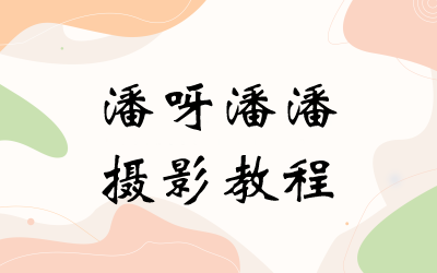 潘呀潘潘摄影教程2020【画质不错只有视频】