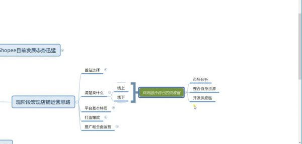 shopee从小白到大神，最新虾皮入驻开店+运营出单 视频教程合集 价值千元-3