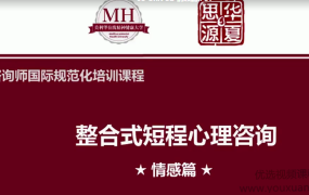 张道龙 心理咨询师国际规范化培训84个真实个案视频与解析，规范、精准、高效解决来访者问题