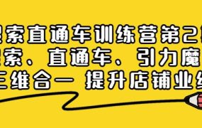 搜索直通车训练营第2期：搜索、直通车、引力魔方三维合一提升店铺业绩