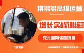 拼多多高级运营增长实战训练营，充分应用你的流量（拼多多2980元付费课程）