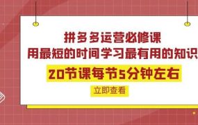 拼多多运营必修课：20节课每节5分钟左右，用最短的时间学习最有用的知识