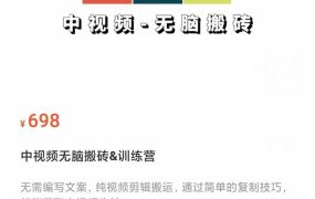 中视频无脑搬砖&训练营，纯视频剪辑搬运，轻松上手批量起号，工作室可放大