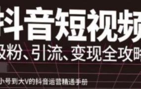 抖音视频号高级实操与理论课程：吸粉、引流、变现全攻略，从小号到大V的抖音运营精通手册