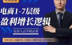 大圣：电商1-7层级盈利增长底层逻辑课（线上视频课），用简单的话，让你掌握电商盈利的底层逻辑