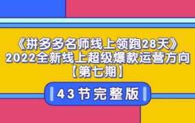 《拼多多名师线上领跑28天》2022全新线上超级爆款运营方向【第七期】43节课