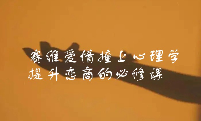 赛维爱情撞上心理学，提升恋商的必修课（13集视频）
