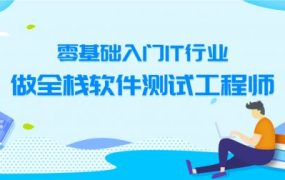 测牛2022最新版软件测试31期，基础入门IT行业做全栈软件测试工程师(48G) 价值9800元