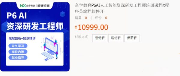 P6AI人工智能资深研发工程师，对标大厂P6培训教程 价值10999元