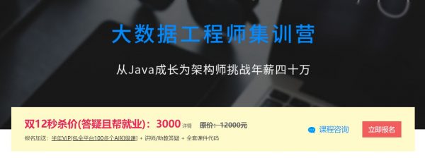 大数据工程师集训营，从Java成长为架构师挑战年薪四十万 价值3000元