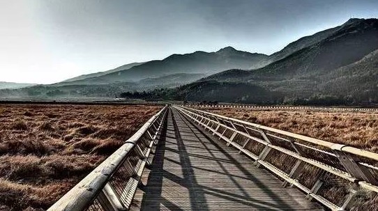 周森Forest【解码构图】摄影构图教程