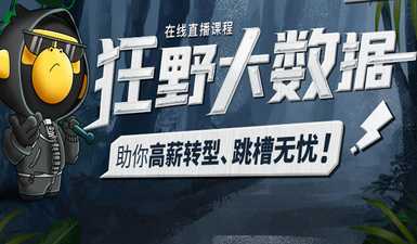 博学谷-狂野大数据|2022年|价值14980元|重磅首发|冲击年薪百万|完结无