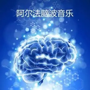1000首阿尔法A脑波功能音乐
