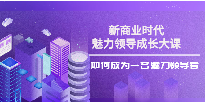 张琦《新商业魅力领导成长大课》29节视频课