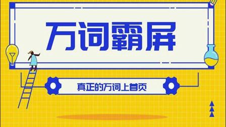 百度万词霸屏实操项目引流课，30天霸屏10万关键词