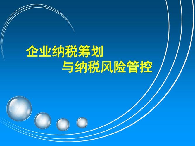王葆青：企业财税筹划与风险管控