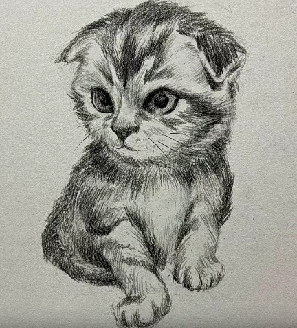 大乔素描全体系三合一几何静物石膏像
