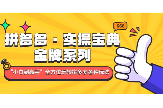 拼多多·实操宝典：金牌系列“小白到高手”带你全方位玩转拼多多各种玩法 价值2580元