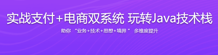 实战支付+电商双系统 玩转Java技术栈