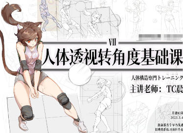 TC晨透视转角度基础课第7期2023年