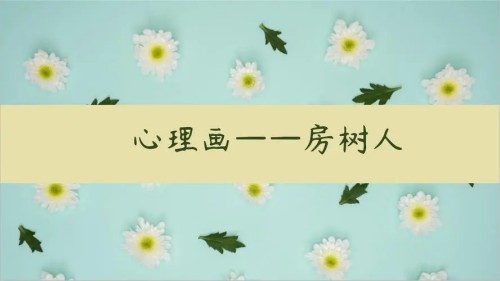 房树人课程合集