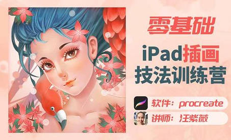 汪紫薇零基础IPAD插画技法实训2022年