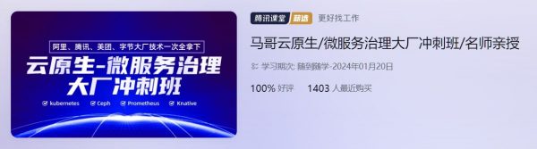 马哥云原生：微服务治理大厂冲刺班，视频+资料(164G) 价值9800元