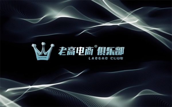 2023老高电商俱乐部会员，电商私密高价值圈子 价值58800元