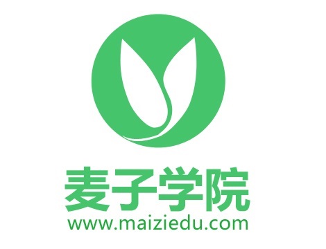麦子：软件测试系统视频课程，11章完整版